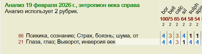 Скриншот реперторизации в Complete Dynamics с двумя ключевыми симптомами: «страх шума» и «энтропион» Скриншот реперторизации в Complete Dynamics с двумя ключевыми симптомами: «страх шума» и «энтропион»